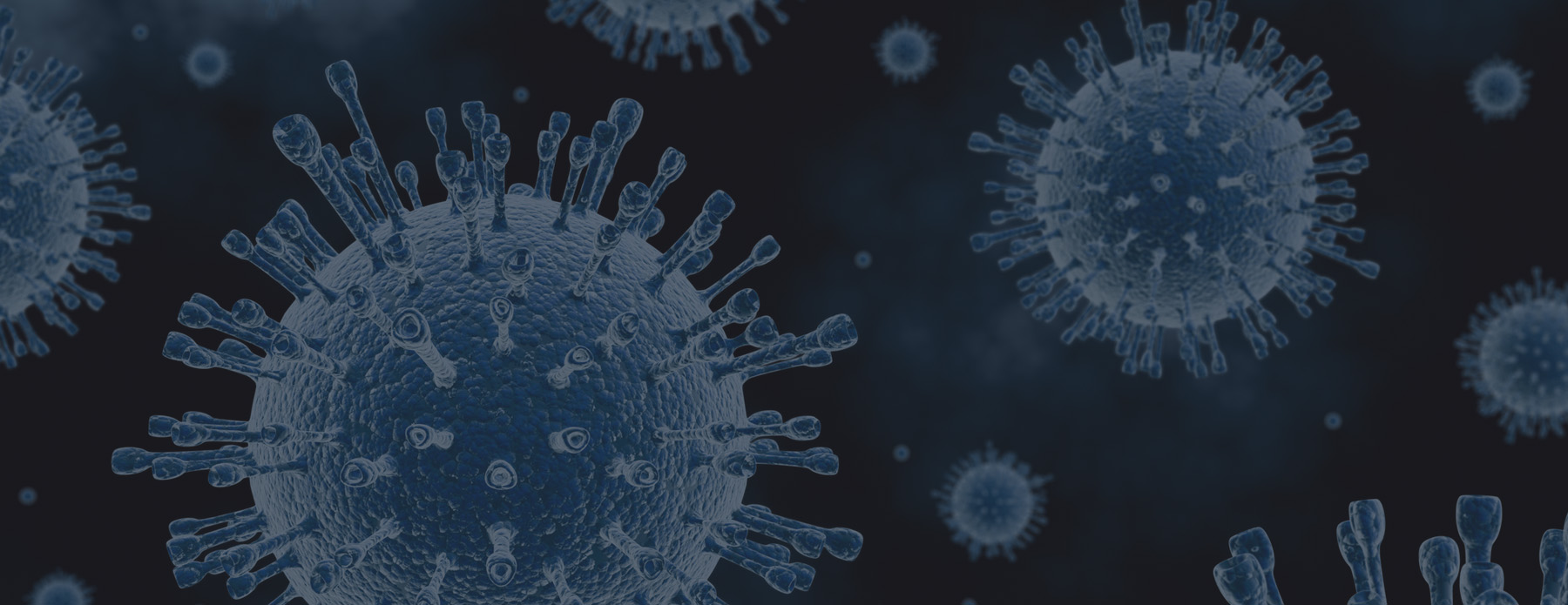 viruses